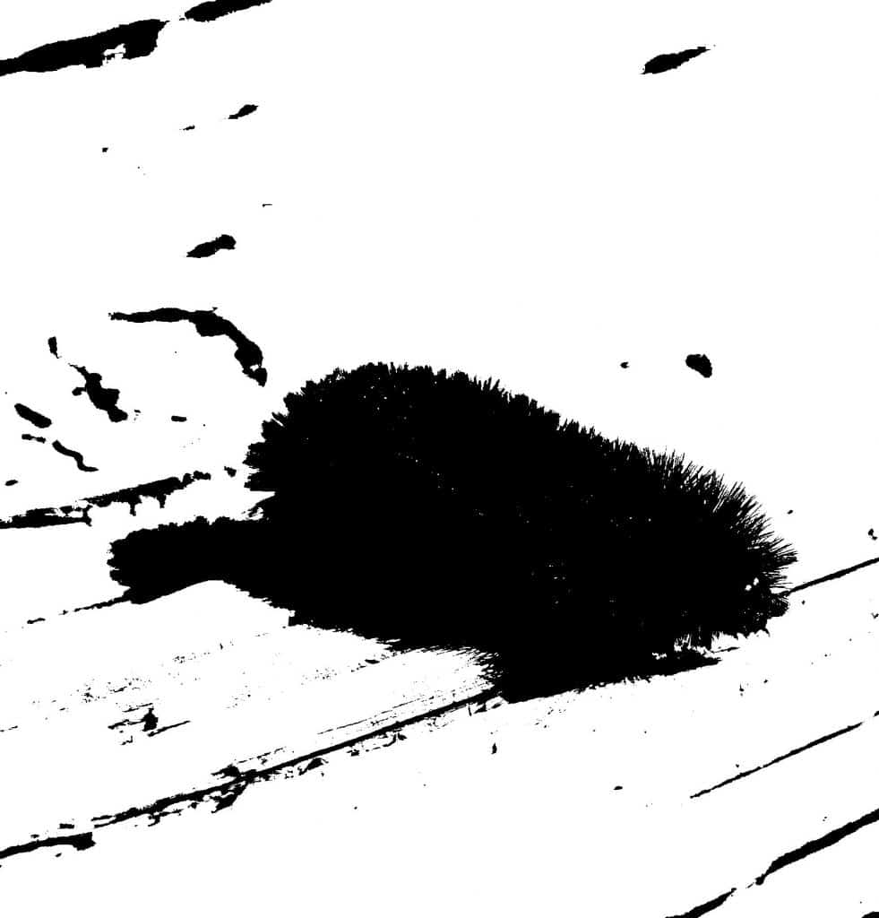 Python Hitam Putih Convert a Photo to Black and White in Python - Mouse Vs Python